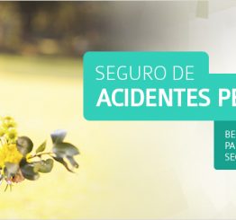 seguro acidentes pessoais Navarro Corretora de Seguros BH