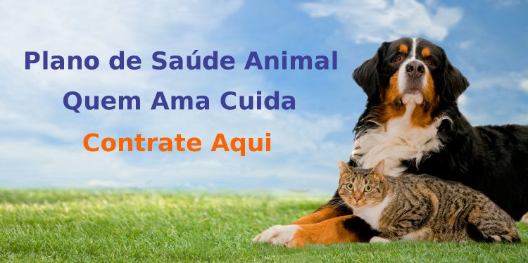 Plano de saúde para animal em BH