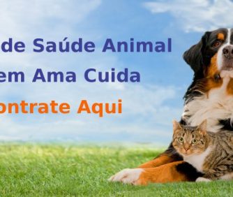 Plano de saúde para cachorro em BH