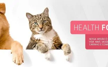 seguro health for pet Corretora de Seguro Belo Horizonte Navarro Corretora